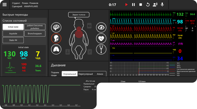Mia simulator software interface