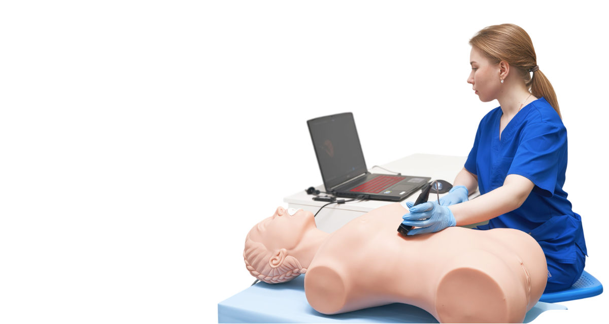 SonoVision Ultrasound Simulator