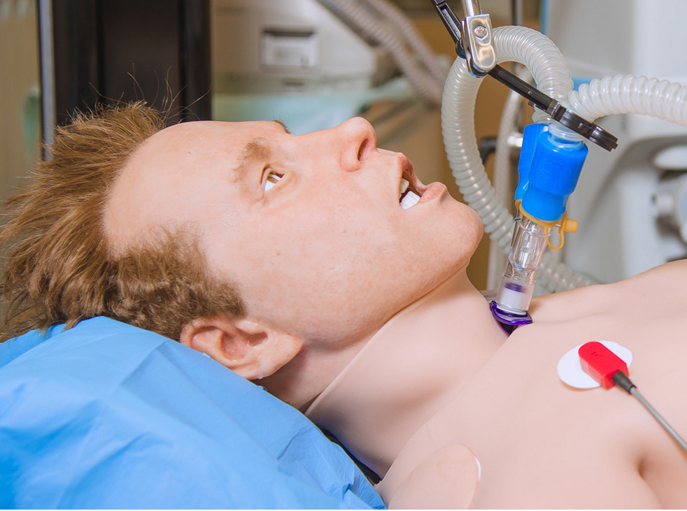 blog-Brighton & Sussex University University Hospitals Trust give their first thoughts on Leonardo